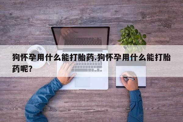流产药怎么购买狗怀孕用什么能打胎药.狗怀孕用什么能打胎药呢？