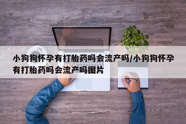 流产药怎么购买小狗狗怀孕有打胎药吗会流产吗/小狗狗怀孕有打胎药吗会流产吗图片