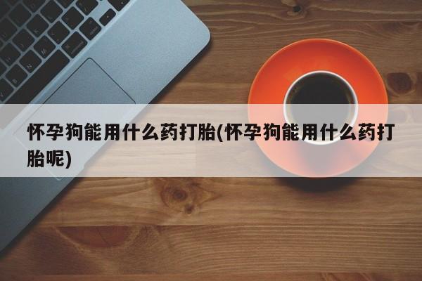 流产药怎么购买怀孕狗能用什么药打胎(怀孕狗能用什么药打胎呢)