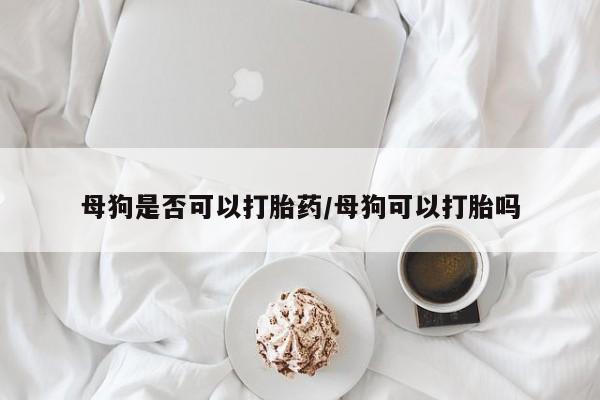 流产药怎么购买母狗是否可以打胎药/母狗可以打胎吗